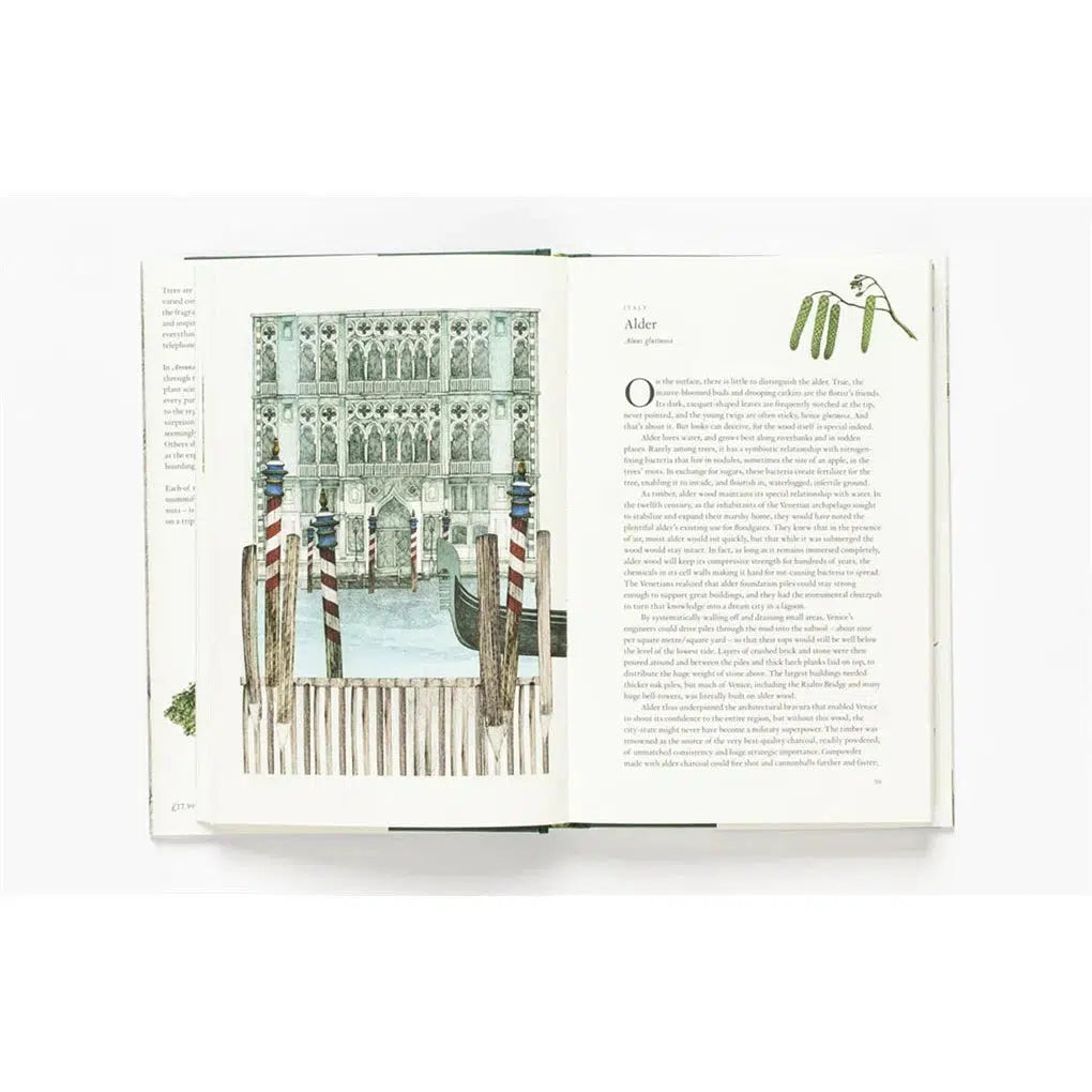 Around The World in 80 Trees - Jonathan Drori | Scout & Co