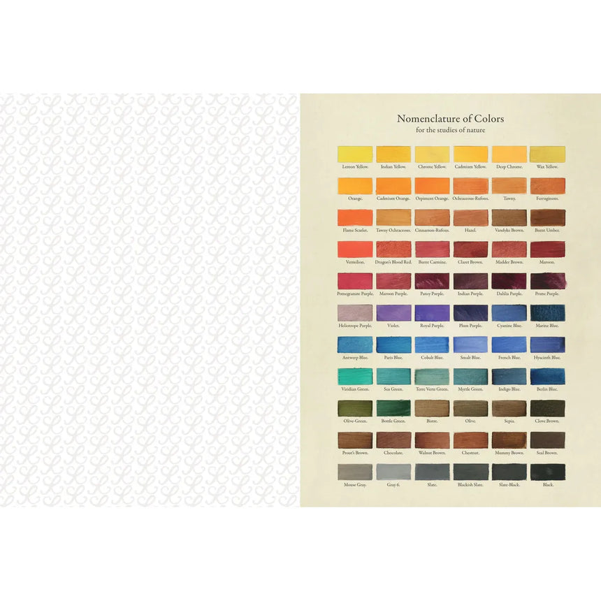The Collage Compendium: 2000 images to cut out and collage - Roomytown | Scout & Co