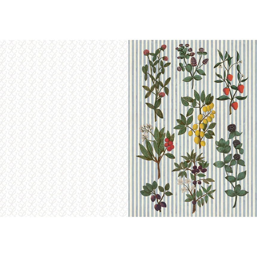The Collage Compendium: 2000 images to cut out and collage - Roomytown | Scout & Co