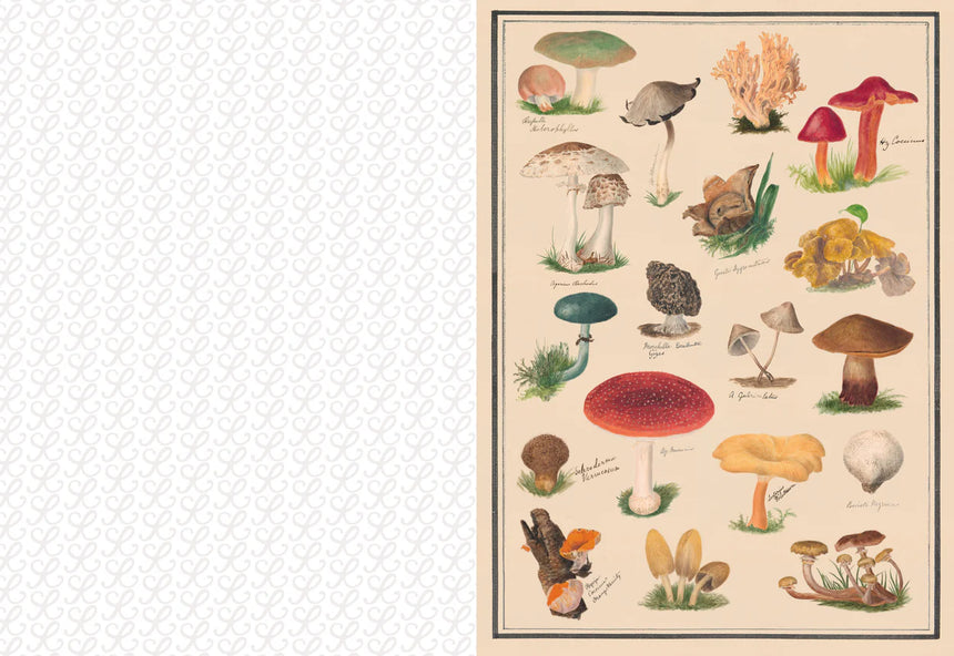 The Collage Compendium: 2000 images to cut out and collage - Roomytown