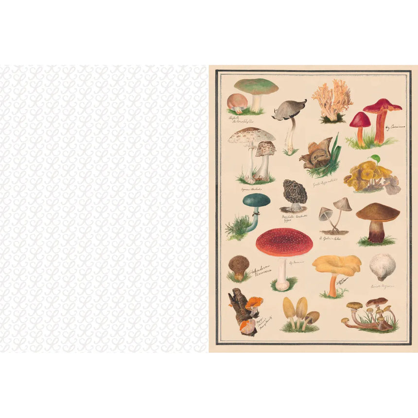 The Collage Compendium: 2000 images to cut out and collage - Roomytown | Scout & Co