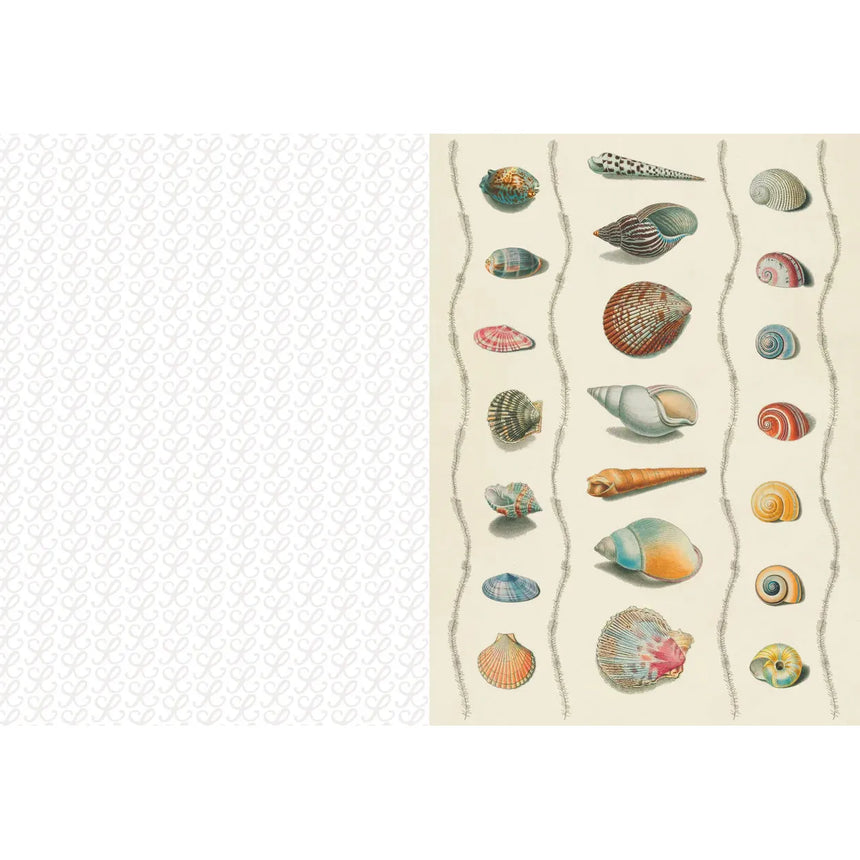 The Collage Compendium: 2000 images to cut out and collage - Roomytown | Scout & Co
