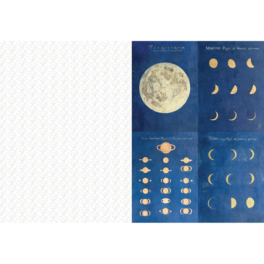 The Collage Compendium: 2000 images to cut out and collage - Roomytown | Scout & Co