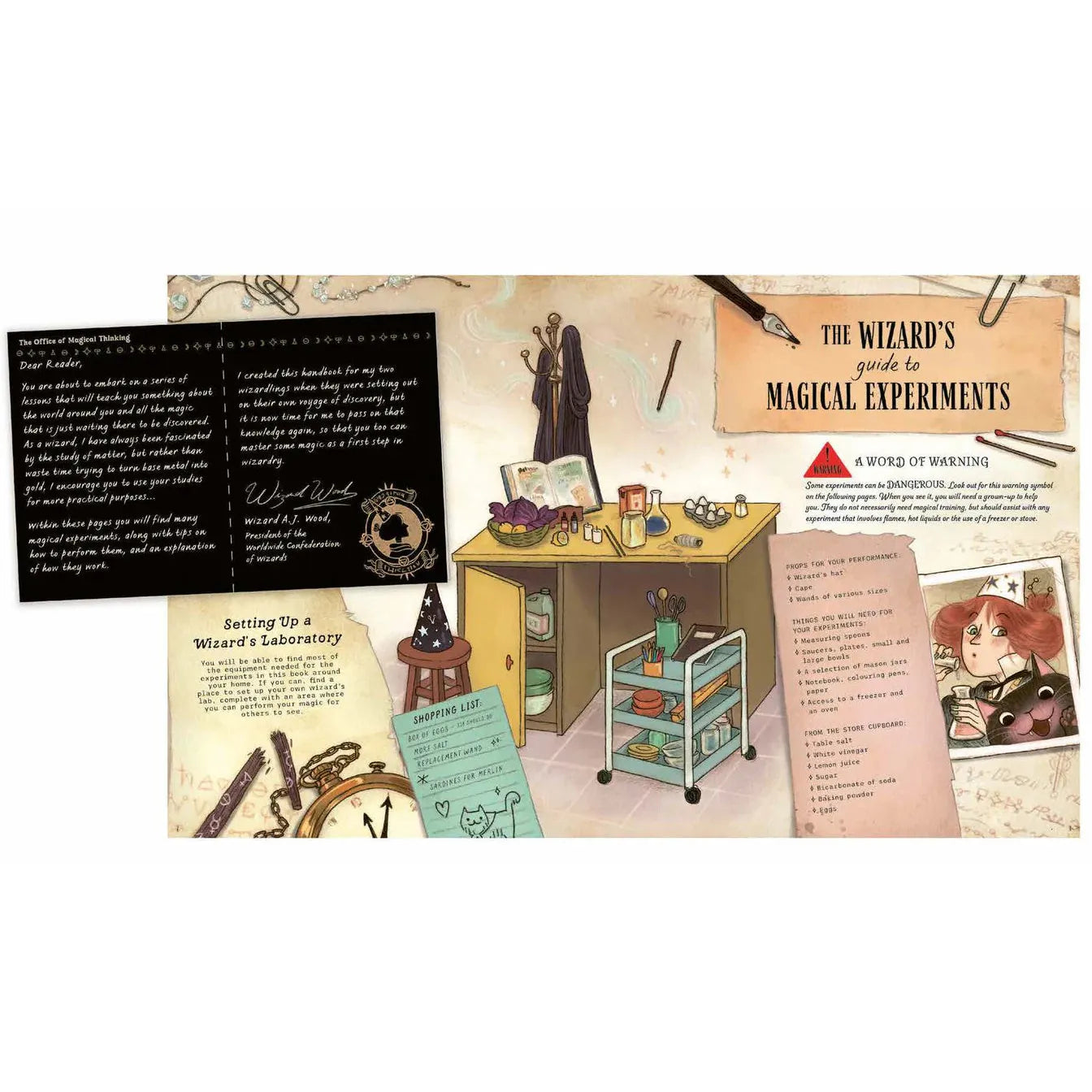 The Wizard's Guide to Magical Experiments - Amanda Wood | Scout & Co