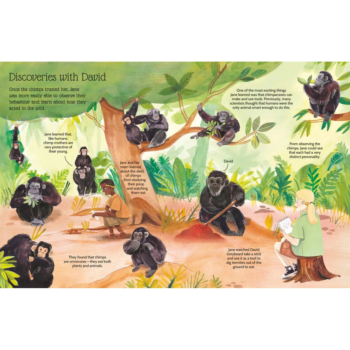 Sticker Life Stories: Jane Goodall - Evie Daye | Scout & Co