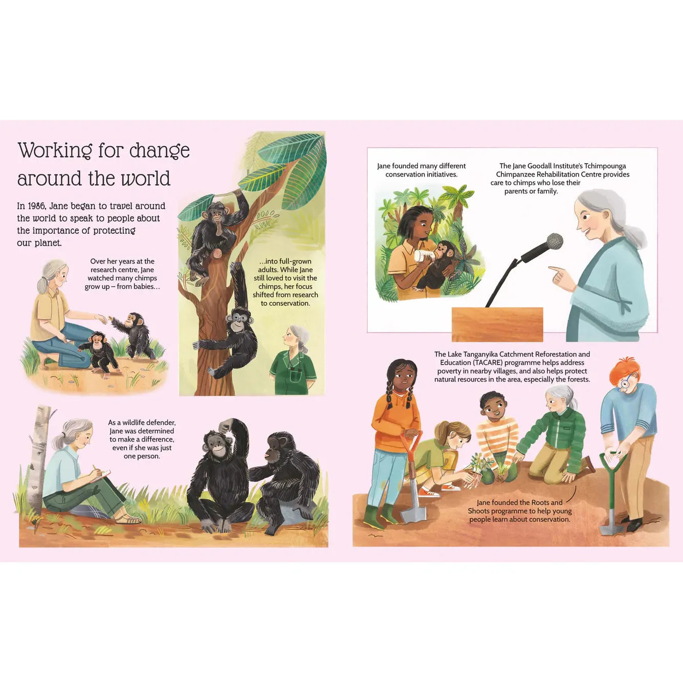 Sticker Life Stories: Jane Goodall - Evie Daye | Scout & Co