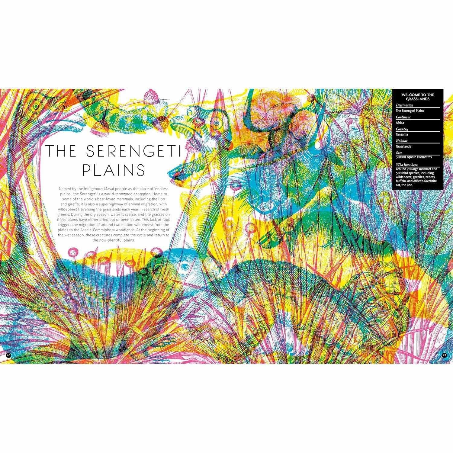 Illumipedia: Discover Nature with your Magic Three-Colour Lens - Carnovsky | Scout & Co