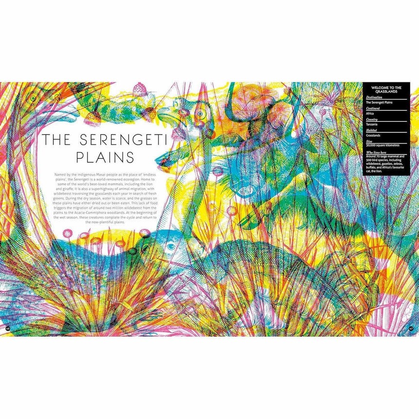 Illumipedia: Discover Nature with your Magic Three-Colour Lens - Carnovsky | Scout & Co