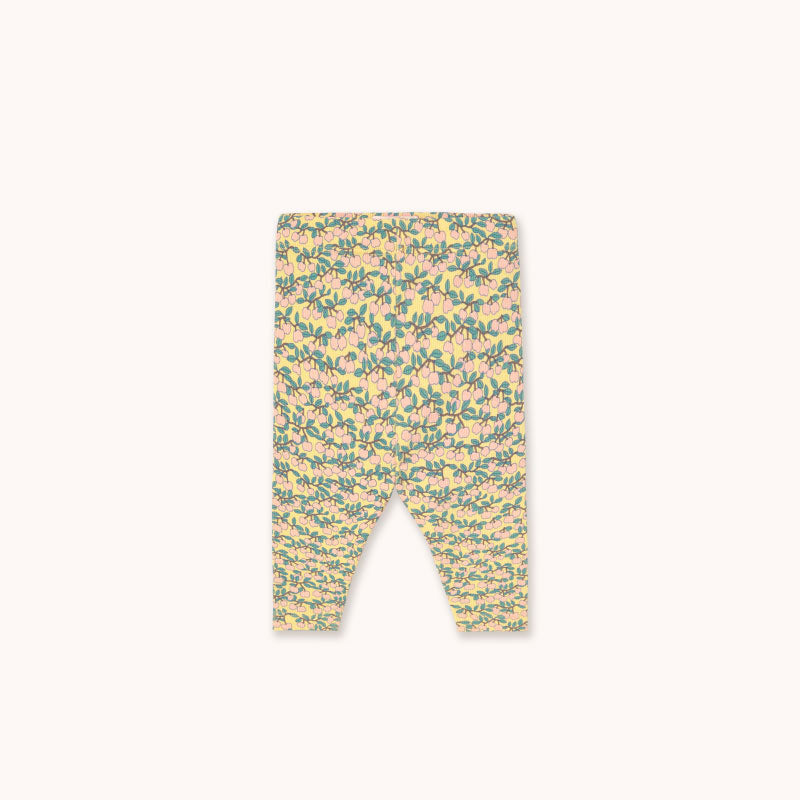 Tiny Cottons - Mini Apples rib baby pants - mellow yellow | Scout & Co