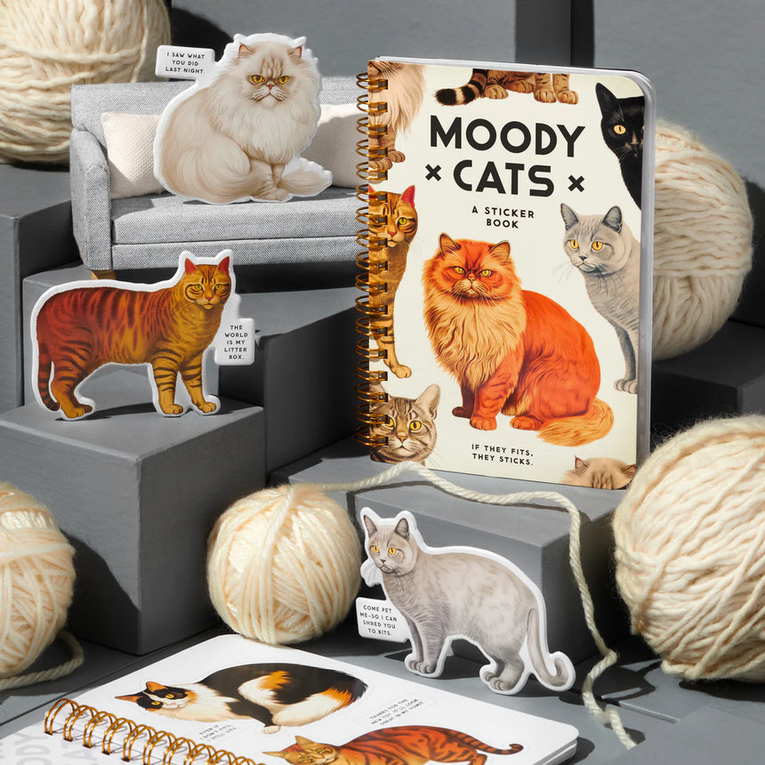 Moody Cats: a sticker book | Scout & Co