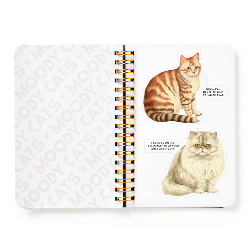 Moody Cats: a sticker book | Scout & Co