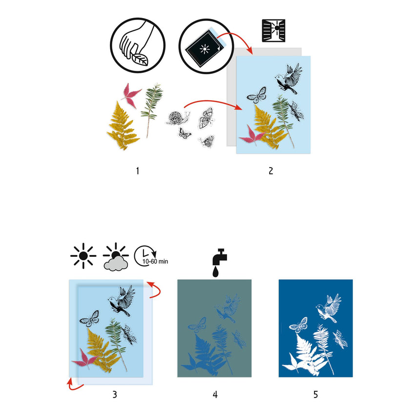 Djeco - Cyanotype starter kit | Scout & Co