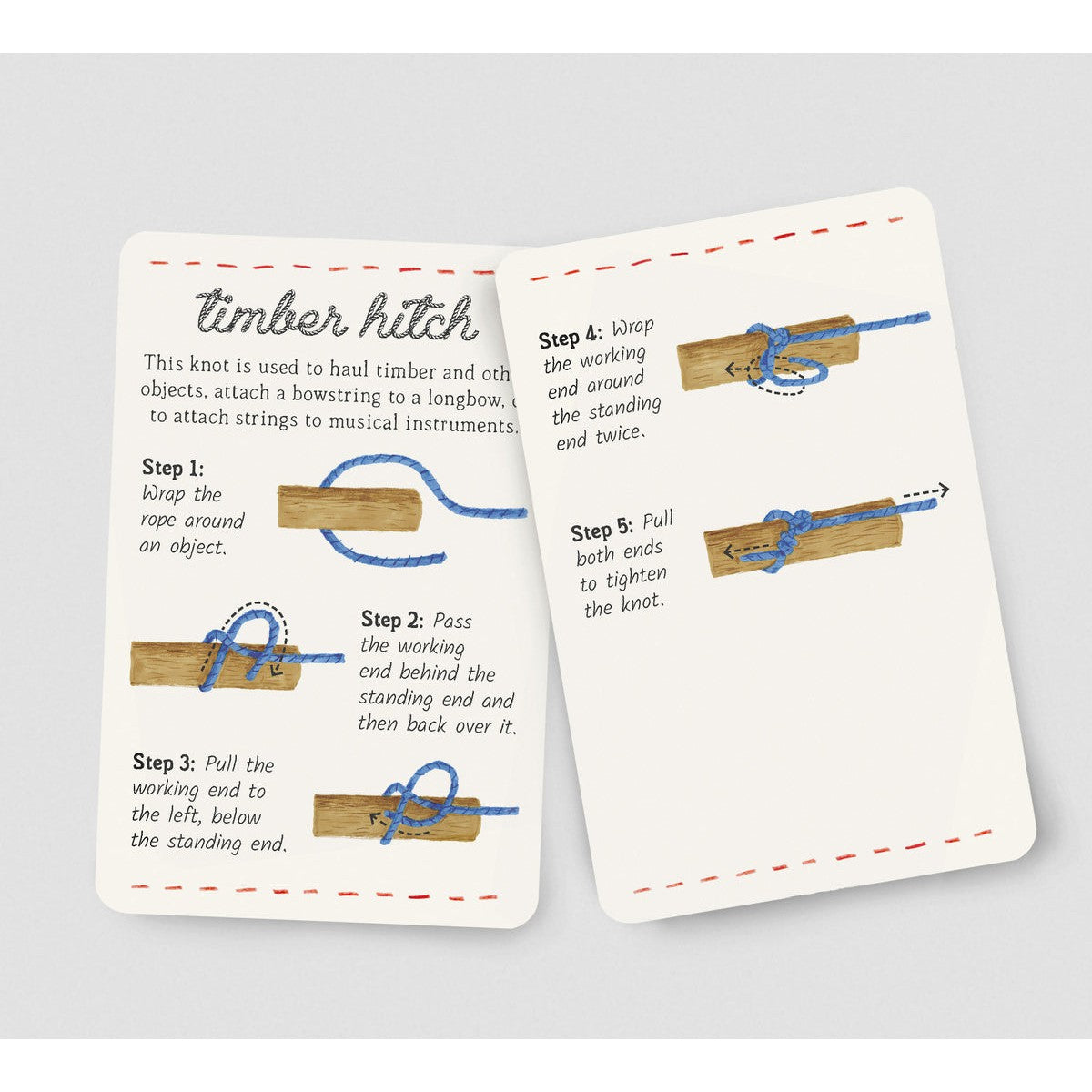 Knots in a Box: 30 Essential Knots; Hours of Timeless Fun | Scout & Co