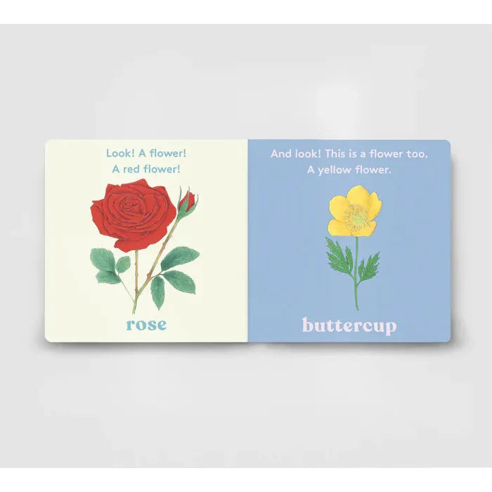 Look! A Flower - board book - Anya Serota | Scout & Co