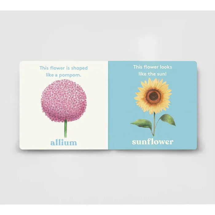 Look! A Flower - board book - Anya Serota | Scout & Co