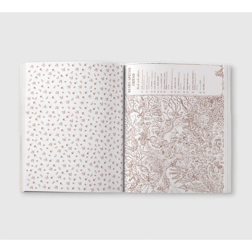 Brown Bear Wood: Colouring & Spotting book - Freya Hartas | Scout & Co