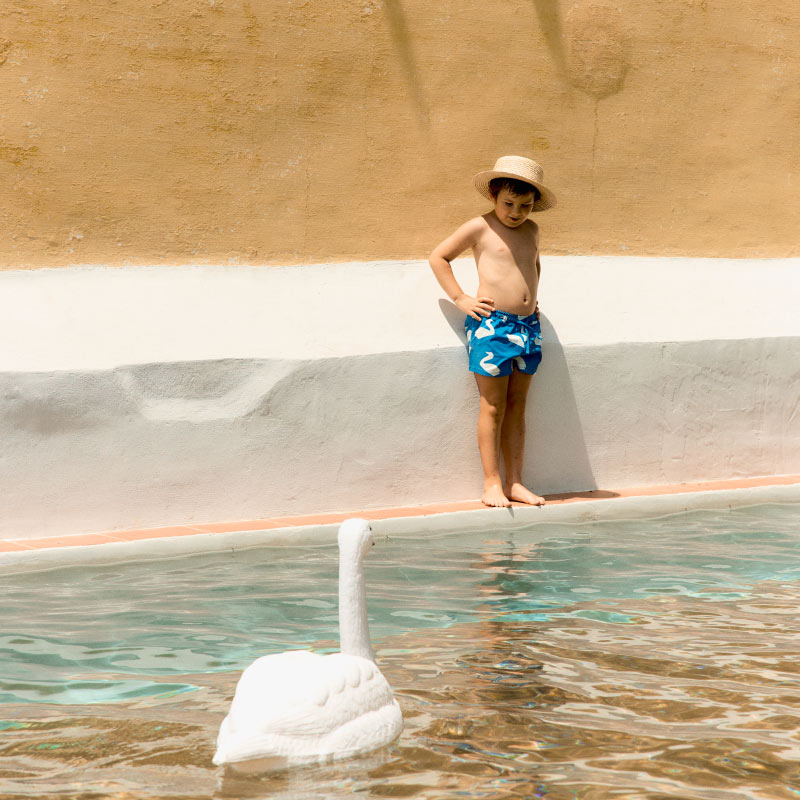 Tiny Cottons - Big Swans swim trunks | Scout & Co