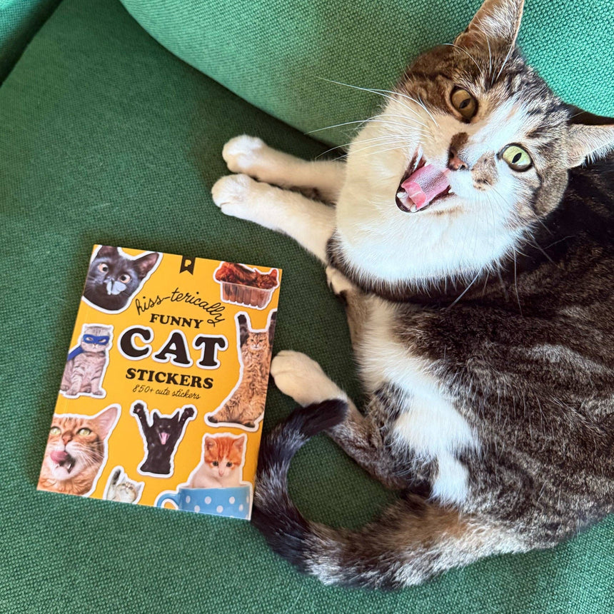 Pipsticks - Hiss-terically Funny Cat Sticker Book | Scout & Co
