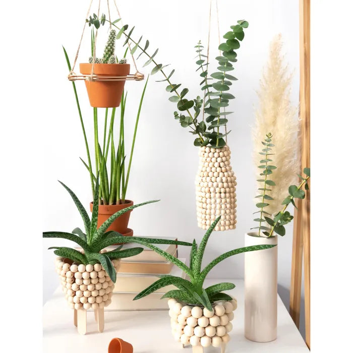 Folia - Creative box - Wood | Scout & Co