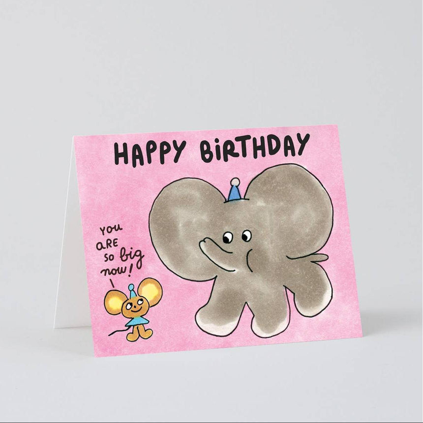 Wrap - Happy Birthday, You are so Big Now! card | Scout & Co