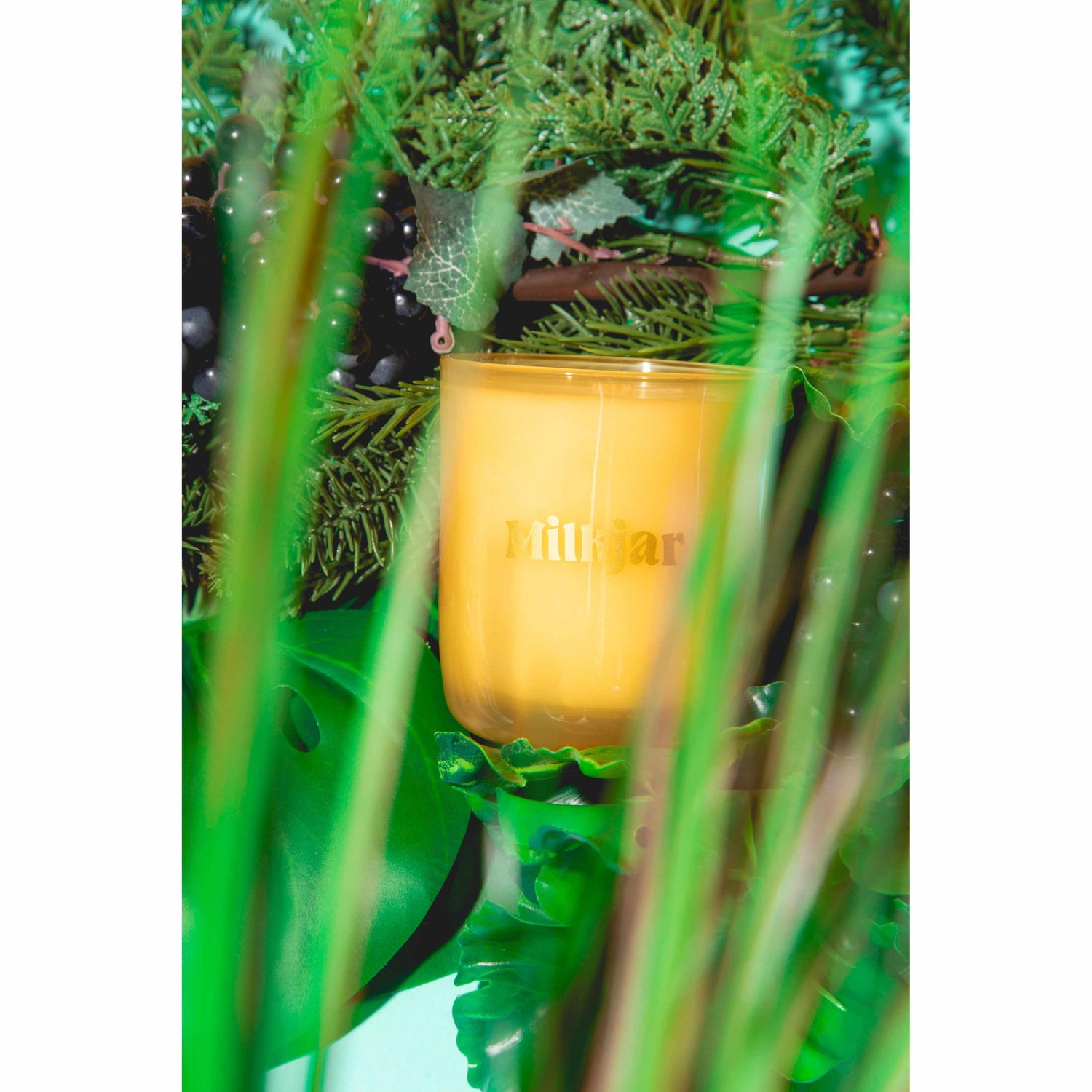 Milk Jar Candle Co - Garden State candle - Cedar & Cassis | Scout & Co