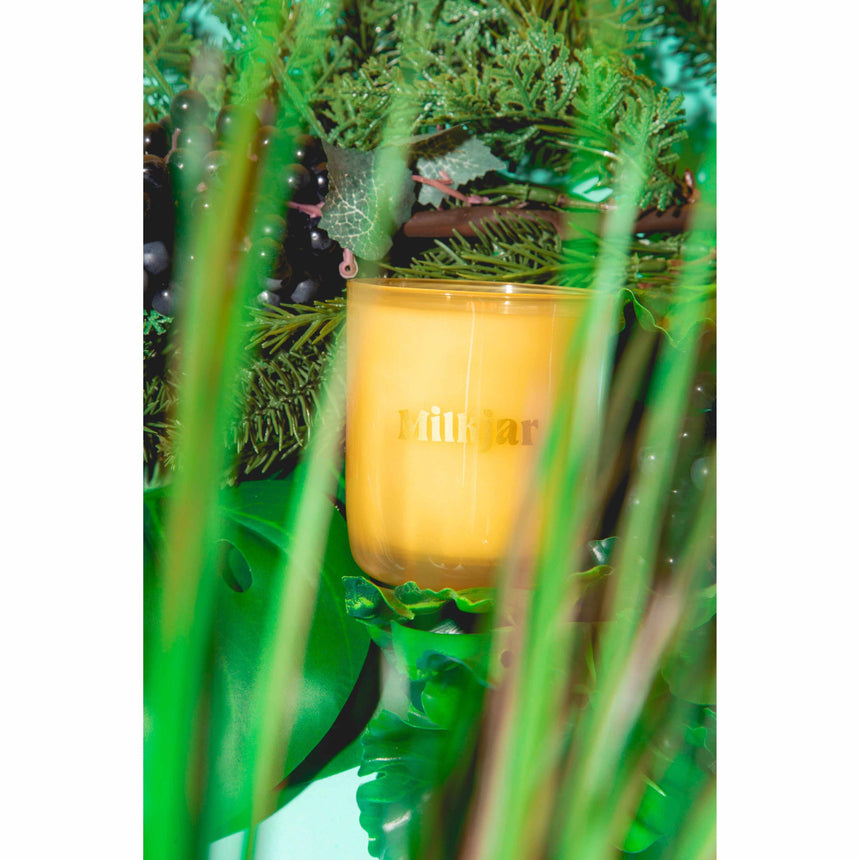 Milk Jar Candle Co - Garden State candle - Cedar & Cassis | Scout & Co