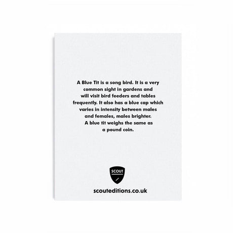 Scout Editions - Blue Tit mini card | Scout & Co