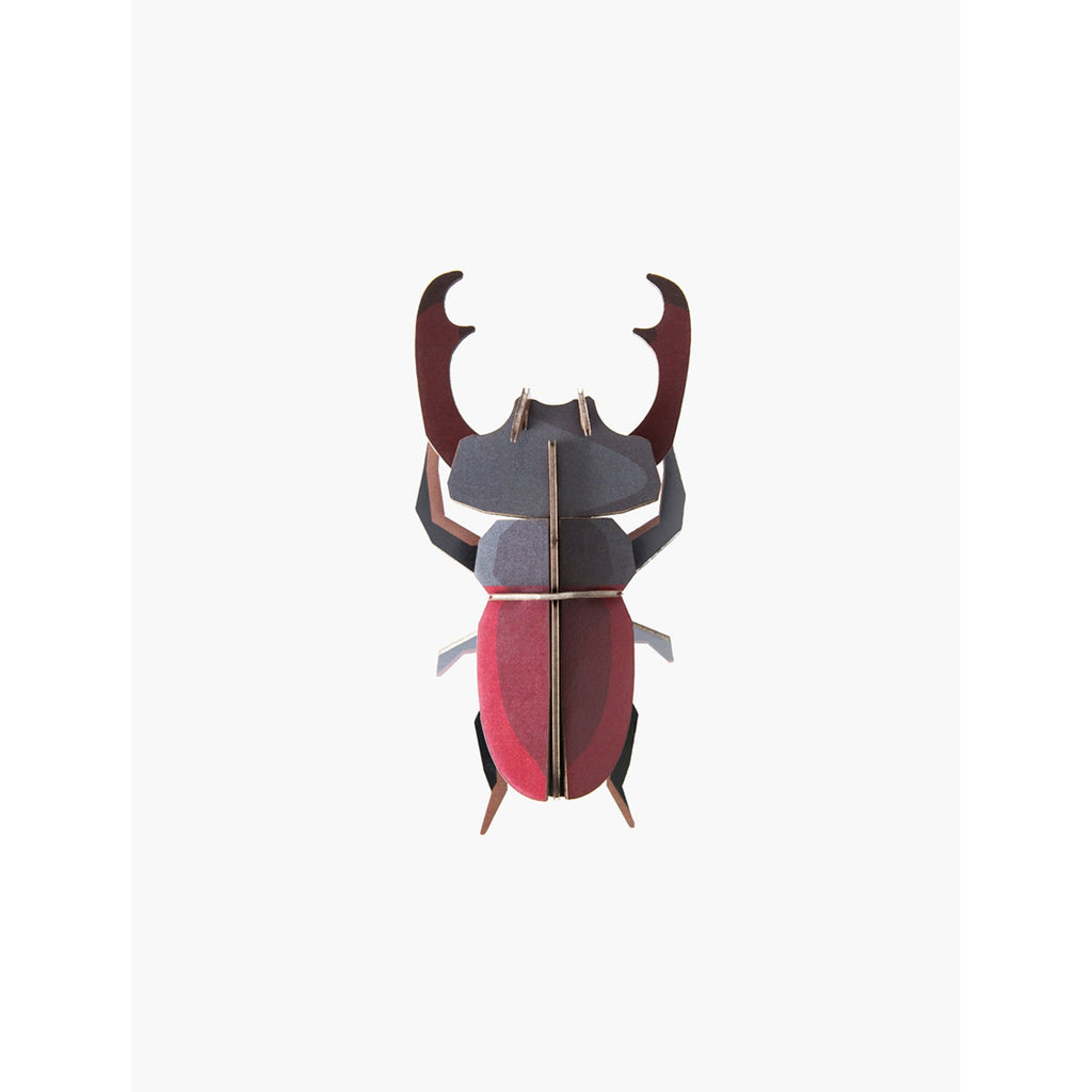 Studio Roof - Small Insects wall art - Stag Beetle | Scout & Co