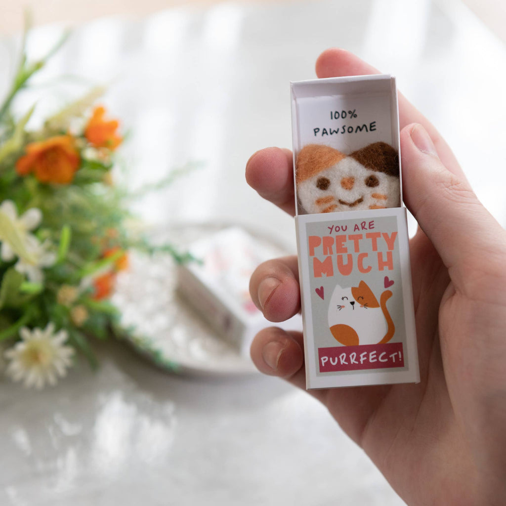 You're Purrfect Wool Felt Cat In A Matchbox | Scout & Co