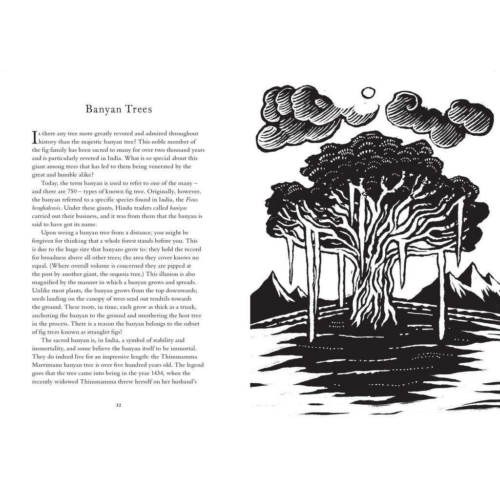Treasury of Folklore: Woodlands and Forests - Dee Dee Chainey | Scout & Co