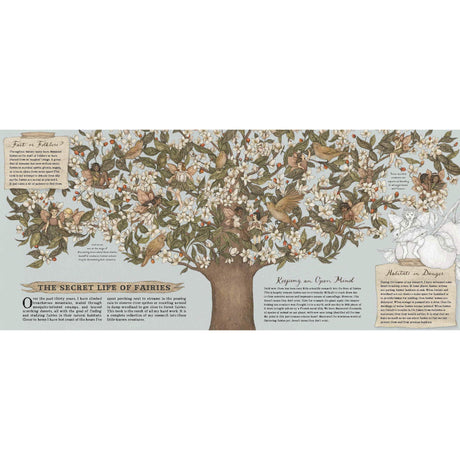 A Natural History of Fairies - Emily Hawkins | Scout & Co