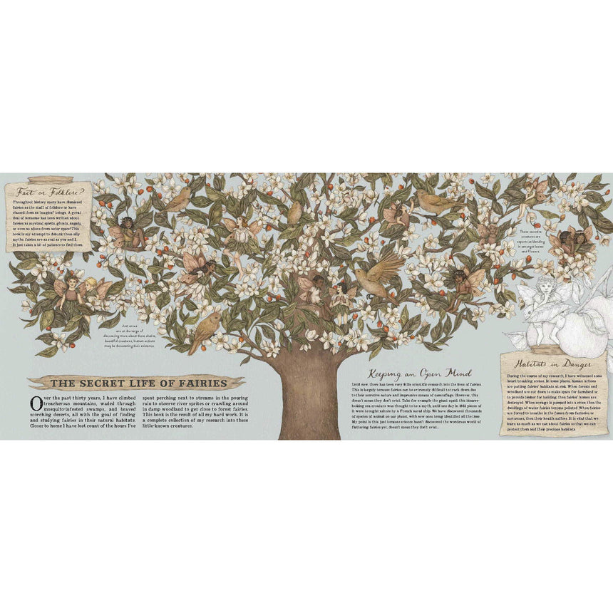 A Natural History of Fairies - Emily Hawkins | Scout & Co