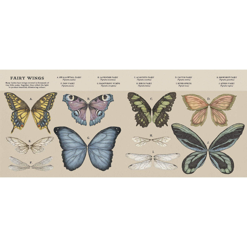 A Natural History of Fairies - Emily Hawkins | Scout & Co
