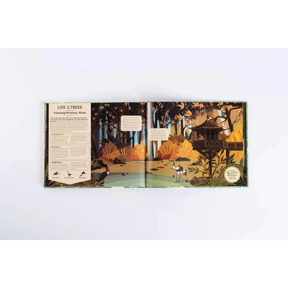 Shine Your Magic Torch: Dinosaurs and Prehistoric Beasts - Emily Hawkins | Scout & Co