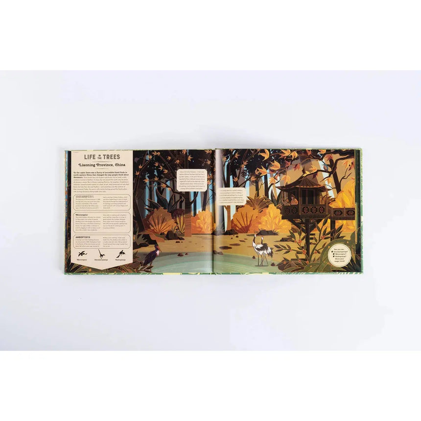 Shine Your Magic Torch: Dinosaurs and Prehistoric Beasts - Emily Hawkins | Scout & Co