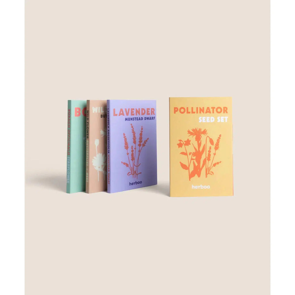 Herboo - Pollinator seeds set of 3 | Scout & Co