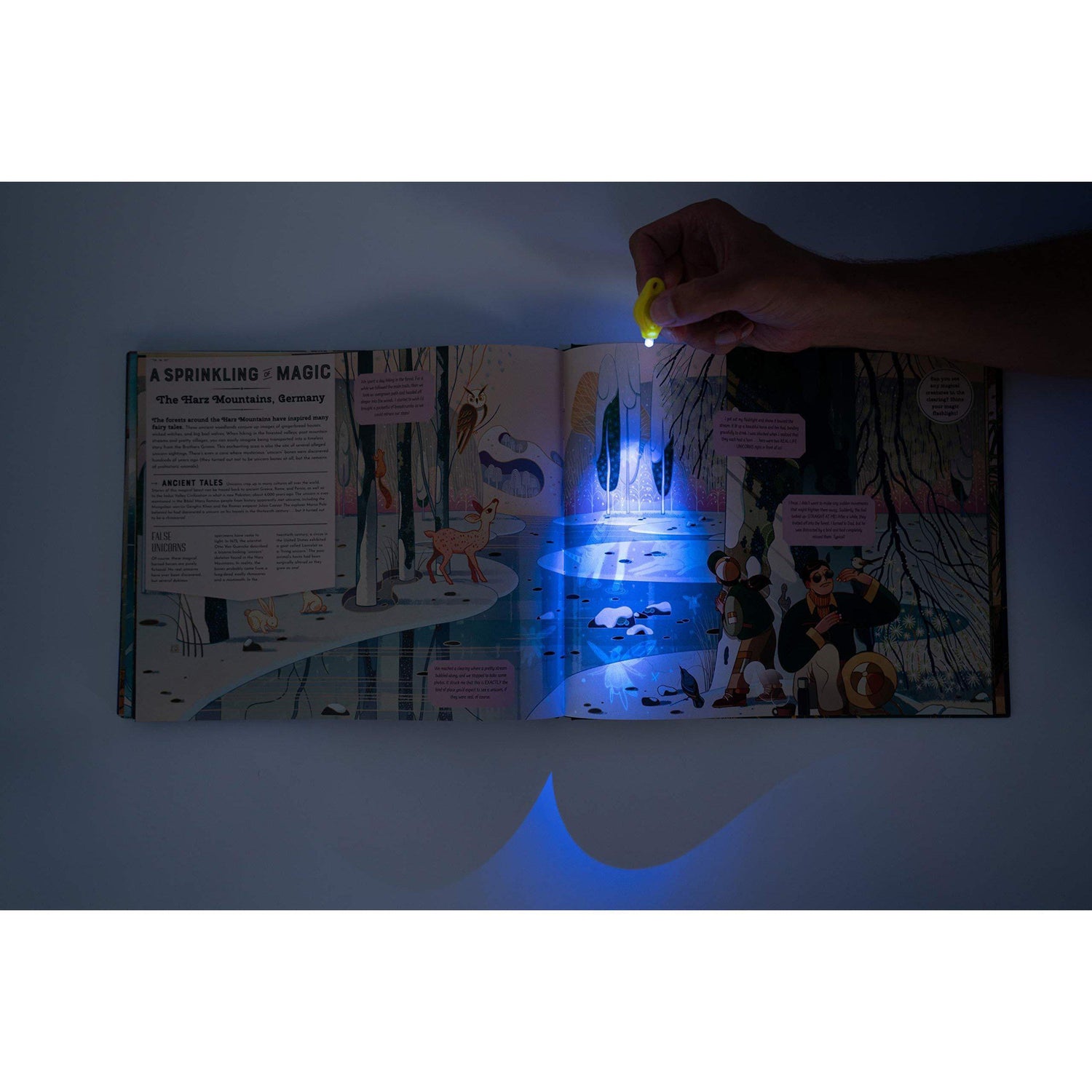 Shine Your Magic Torch: Magical Creatures and Mythical Beasts - Professor Byron & Millie Mortimer | Scout & Co