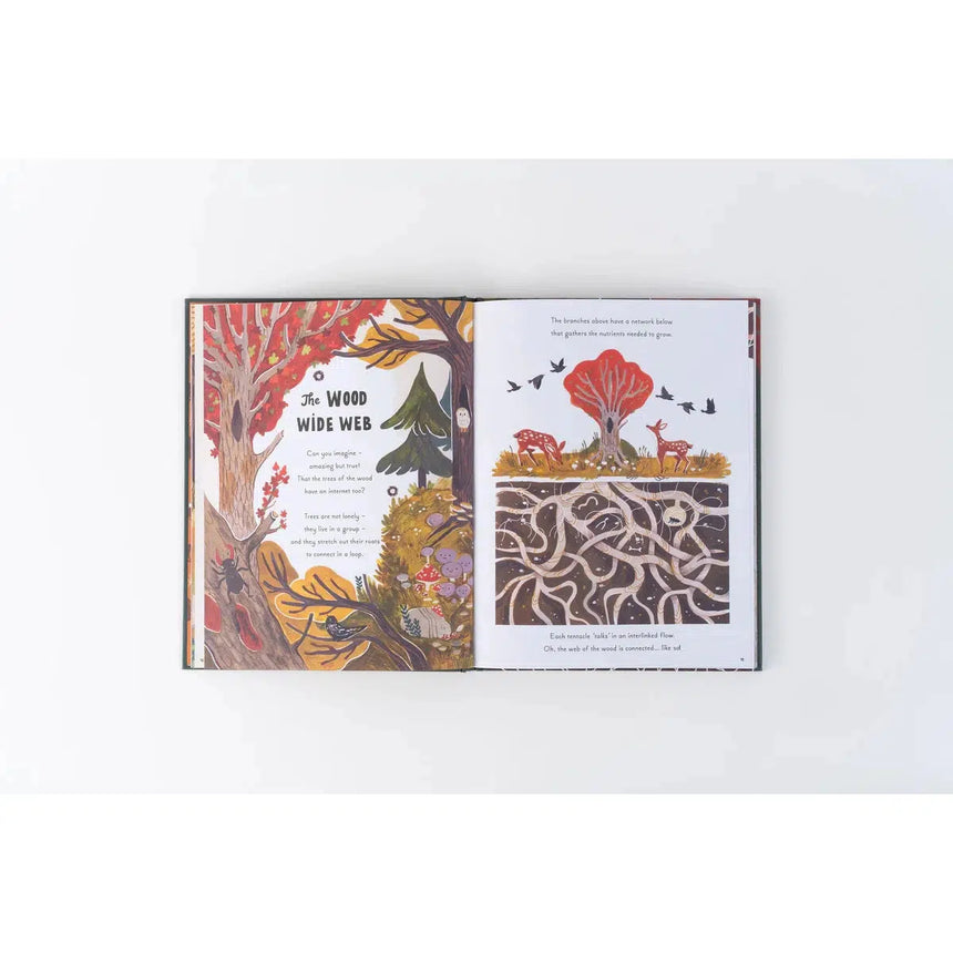 5 Minute Nature Stories - Gabby Dawnay | Scout & Co