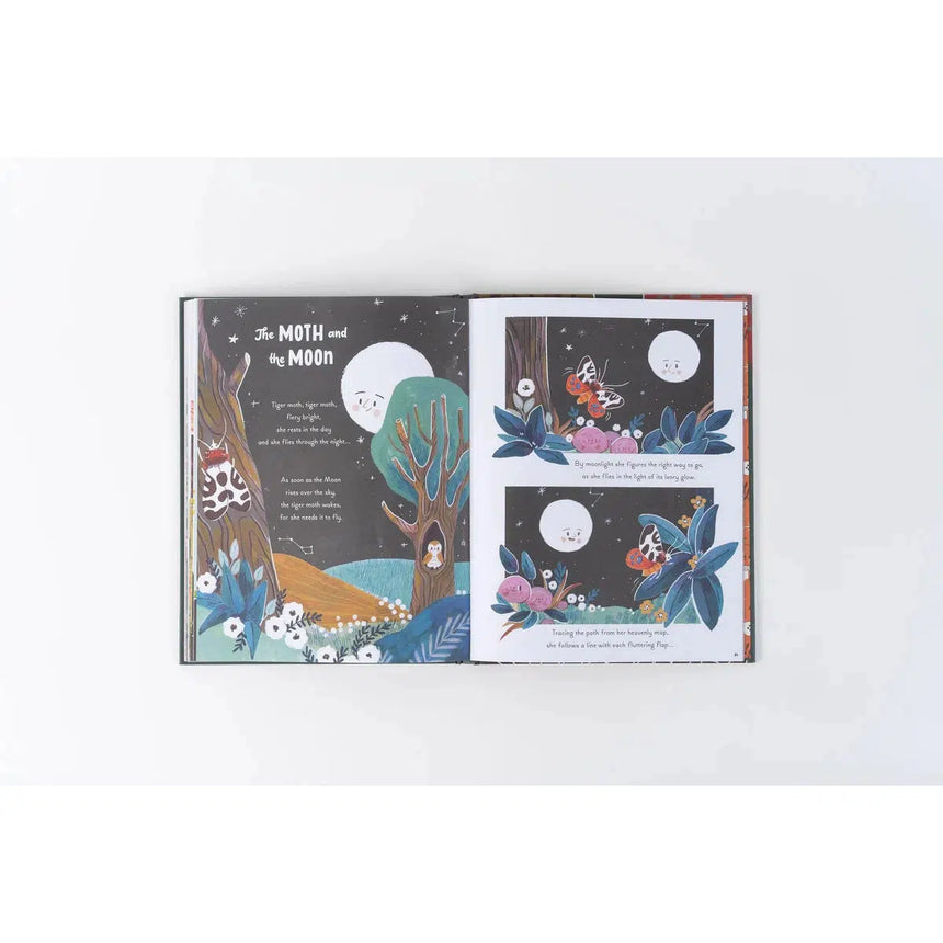 5 Minute Nature Stories - Gabby Dawnay | Scout & Co