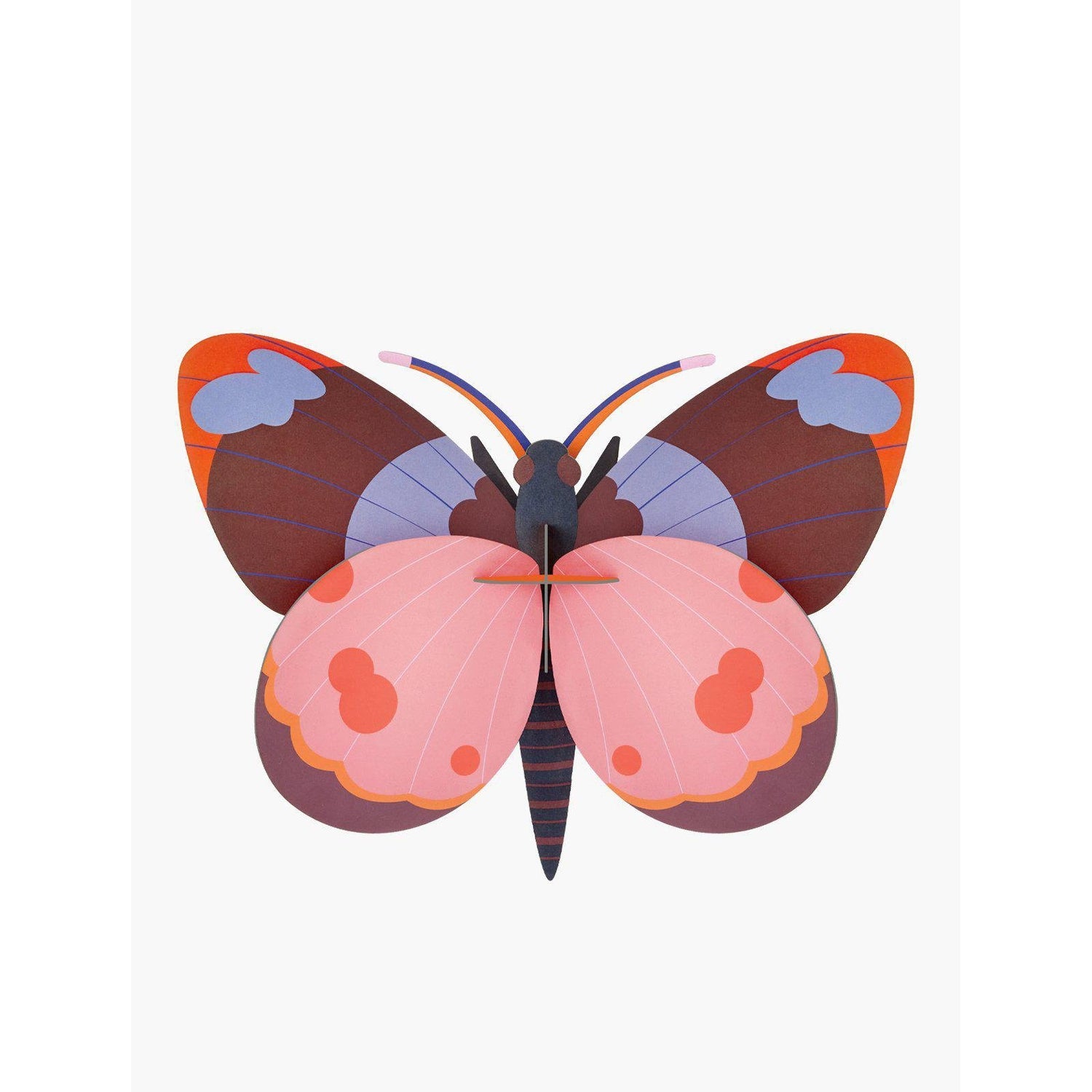 Studio Roof - Big Insects wall art - Bellissima Butterfly | Scout & Co