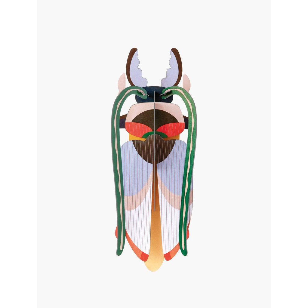 Studio Roof - Big Insects wall art - Cosmos Beetle | Scout & Co