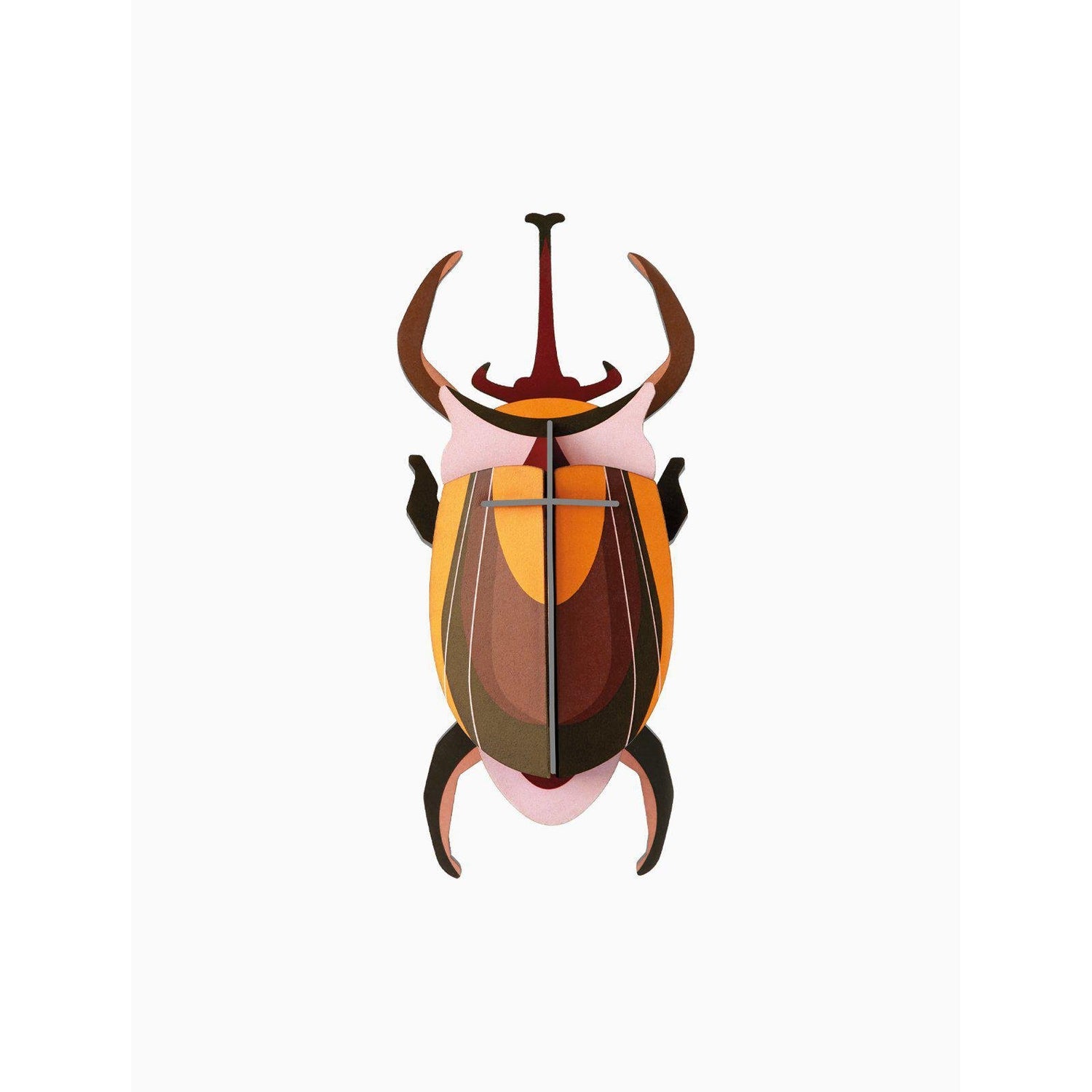 Studio Roof - Small Insects wall art - Elephant Beetle | Scout & Co