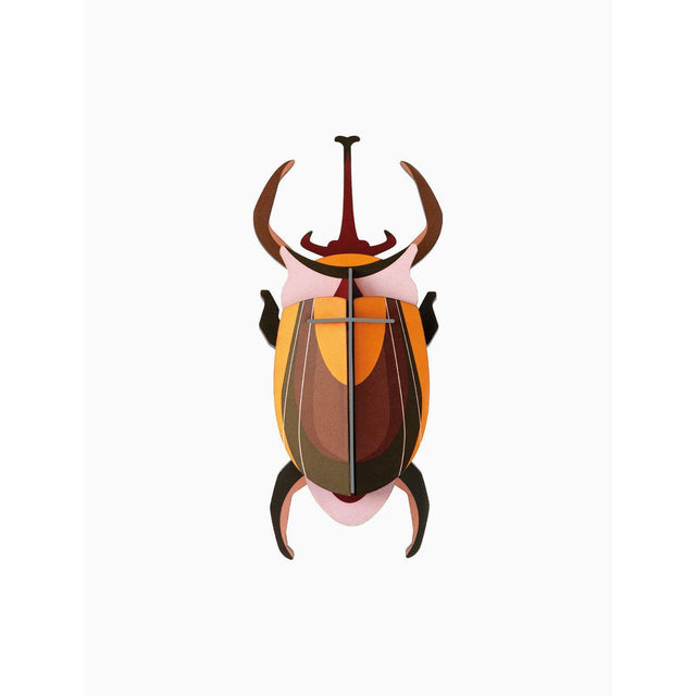 Studio Roof - Small Insects wall art - Elephant Beetle | Scout & Co