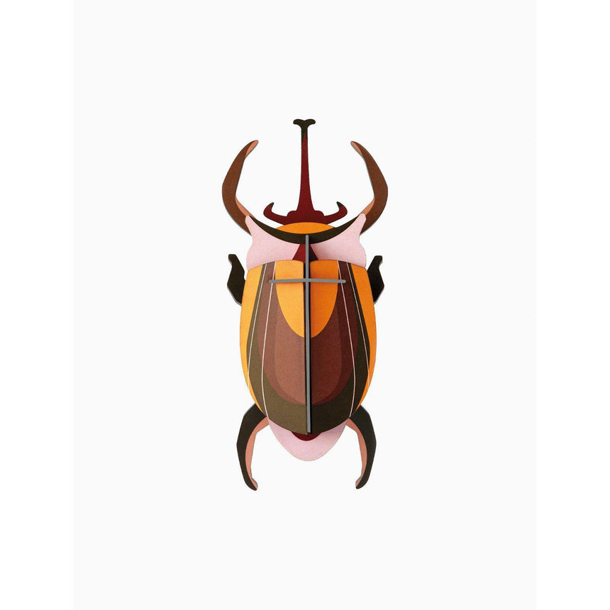 Studio Roof - Small Insects wall art - Elephant Beetle | Scout & Co