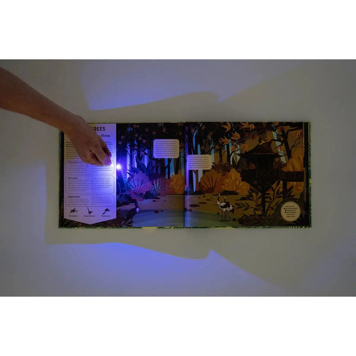 Shine Your Magic Torch: Dinosaurs and Prehistoric Beasts - Emily Hawkins | Scout & Co
