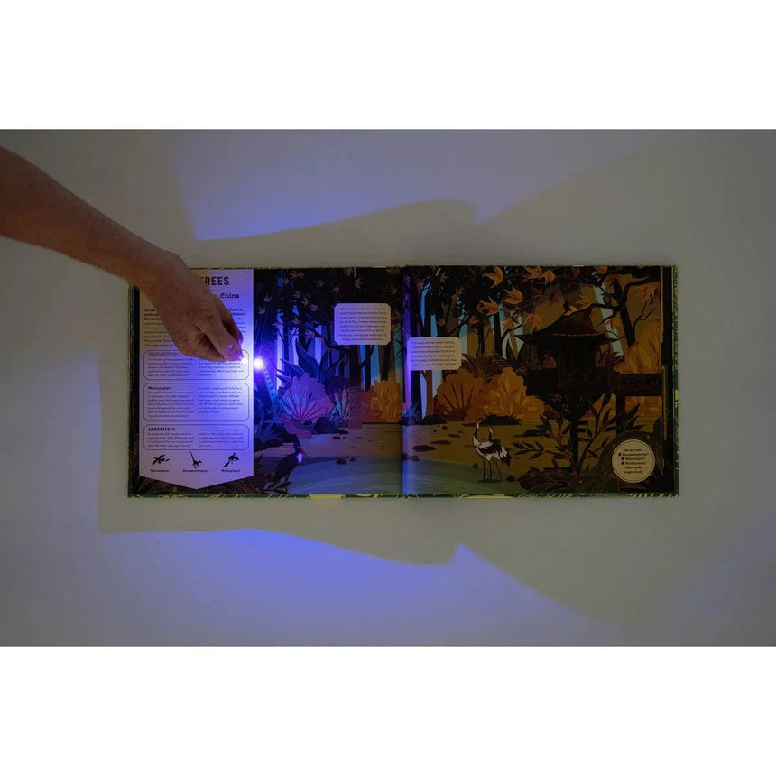Shine Your Magic Torch: Dinosaurs and Prehistoric Beasts - Emily Hawkins | Scout & Co