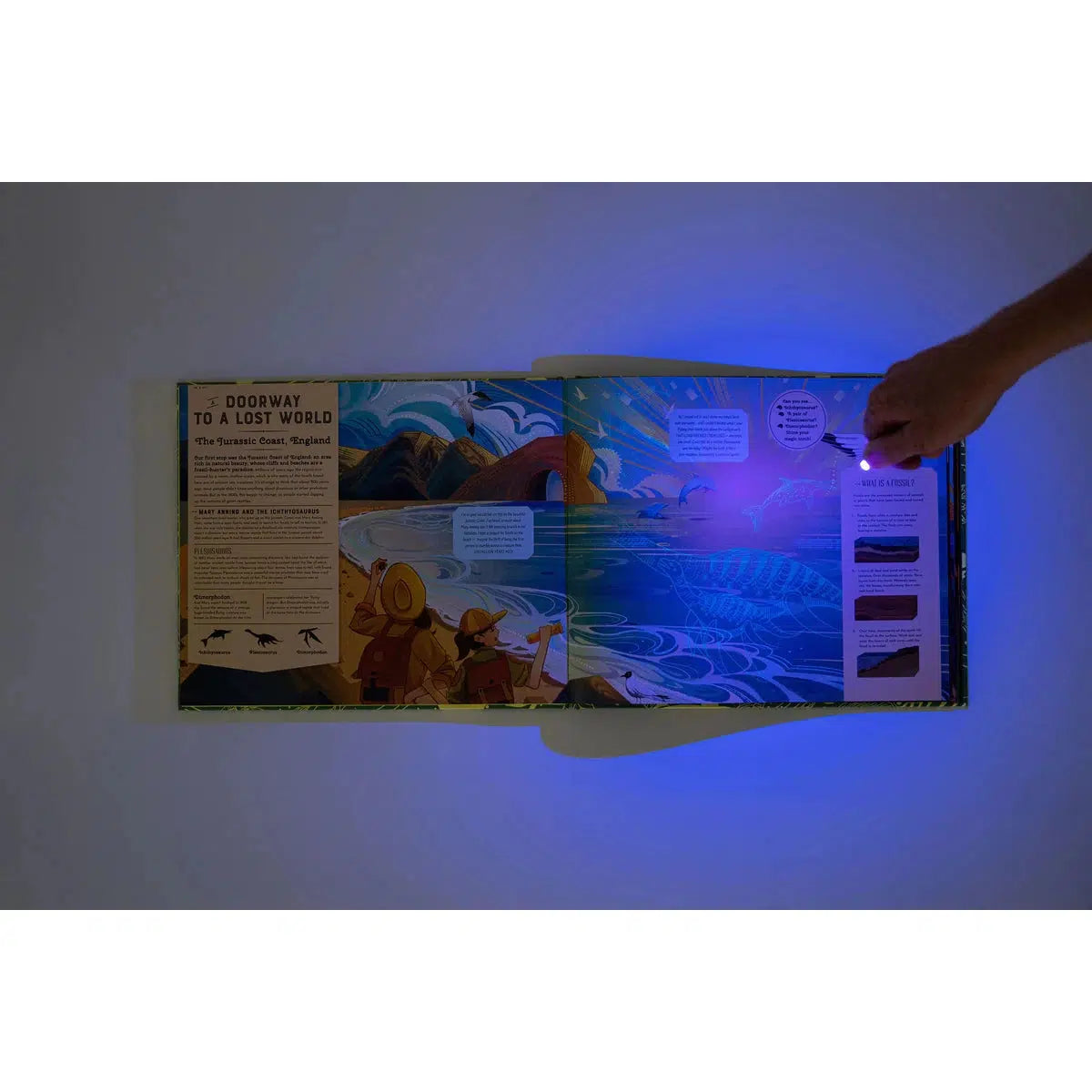 Shine Your Magic Torch: Dinosaurs and Prehistoric Beasts - Emily Hawkins | Scout & Co
