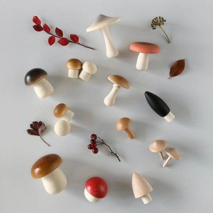 Moon Picnic - Scout and Co