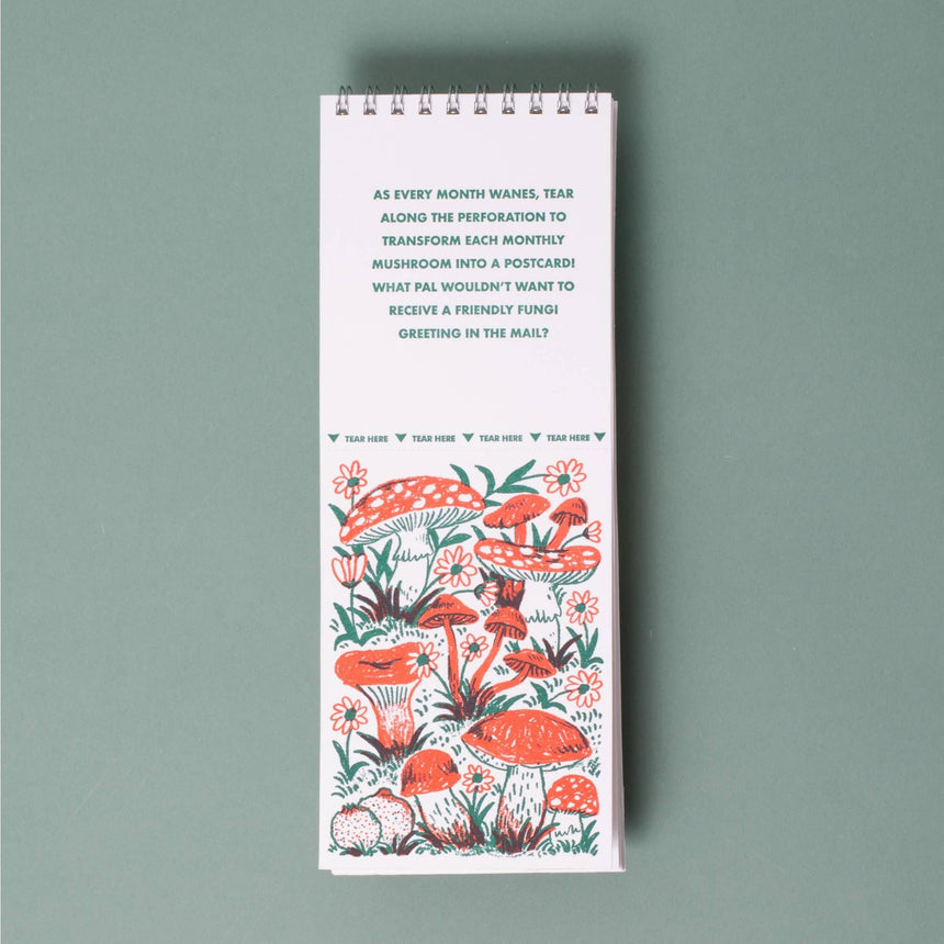 Egg Press - Gnomes & Mushrooms 2027 postcard wall calendar | Scout & Co