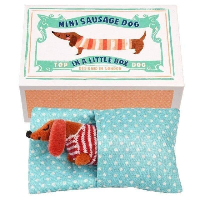 Rex - Mini Sausage Dog soft toy In A Little Box | Scout & Co